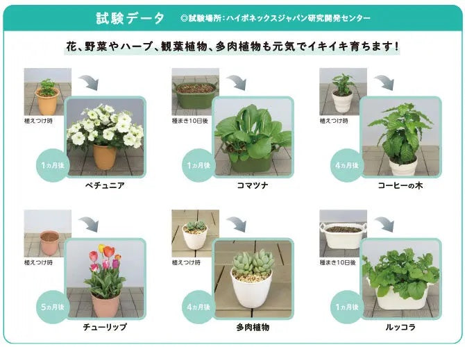 Magamp Eco 長效性持續基肥 中粒 200g 魔肥元肥