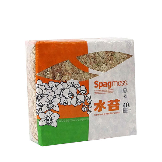 Besgrow - 紐西蘭AA+級蘭花種植用水苔 園藝植料 40L