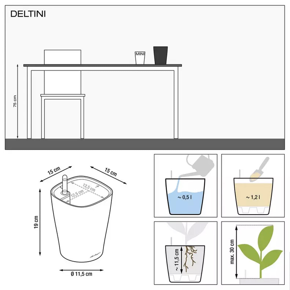 DELTINI