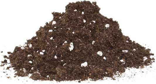 德國食肉/食蟲植物專用培植泥土 3L