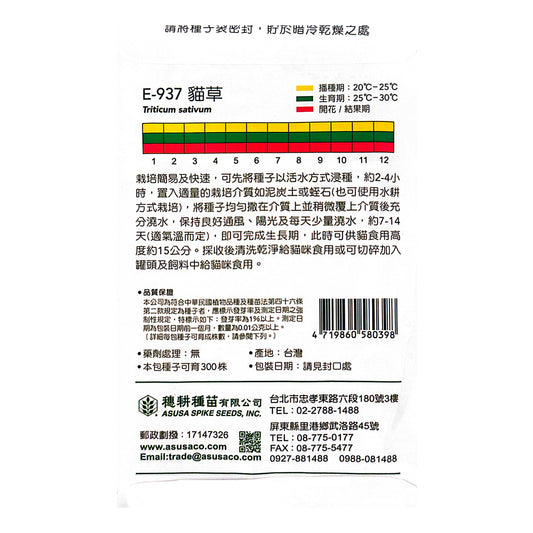 台灣天星牌園藝香草種子 - 貓草