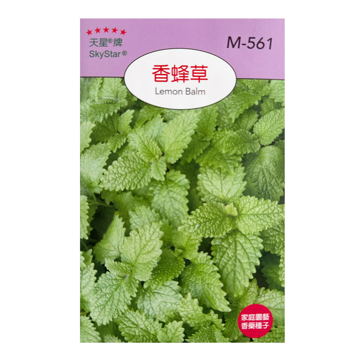 Taiwan SkyStar Brand Gardening Fruit and Vegetable-Basil