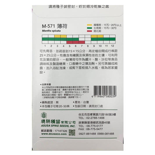 台灣天星牌園藝香草種子 - 薄荷