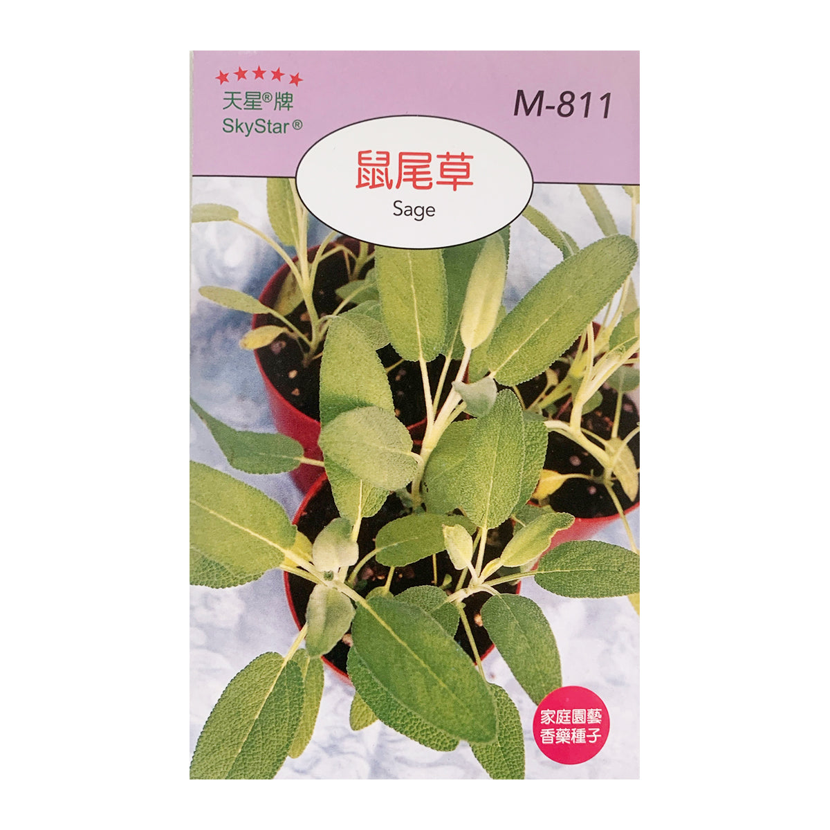 台灣天星牌園藝香草種子 - 鼠尾草
