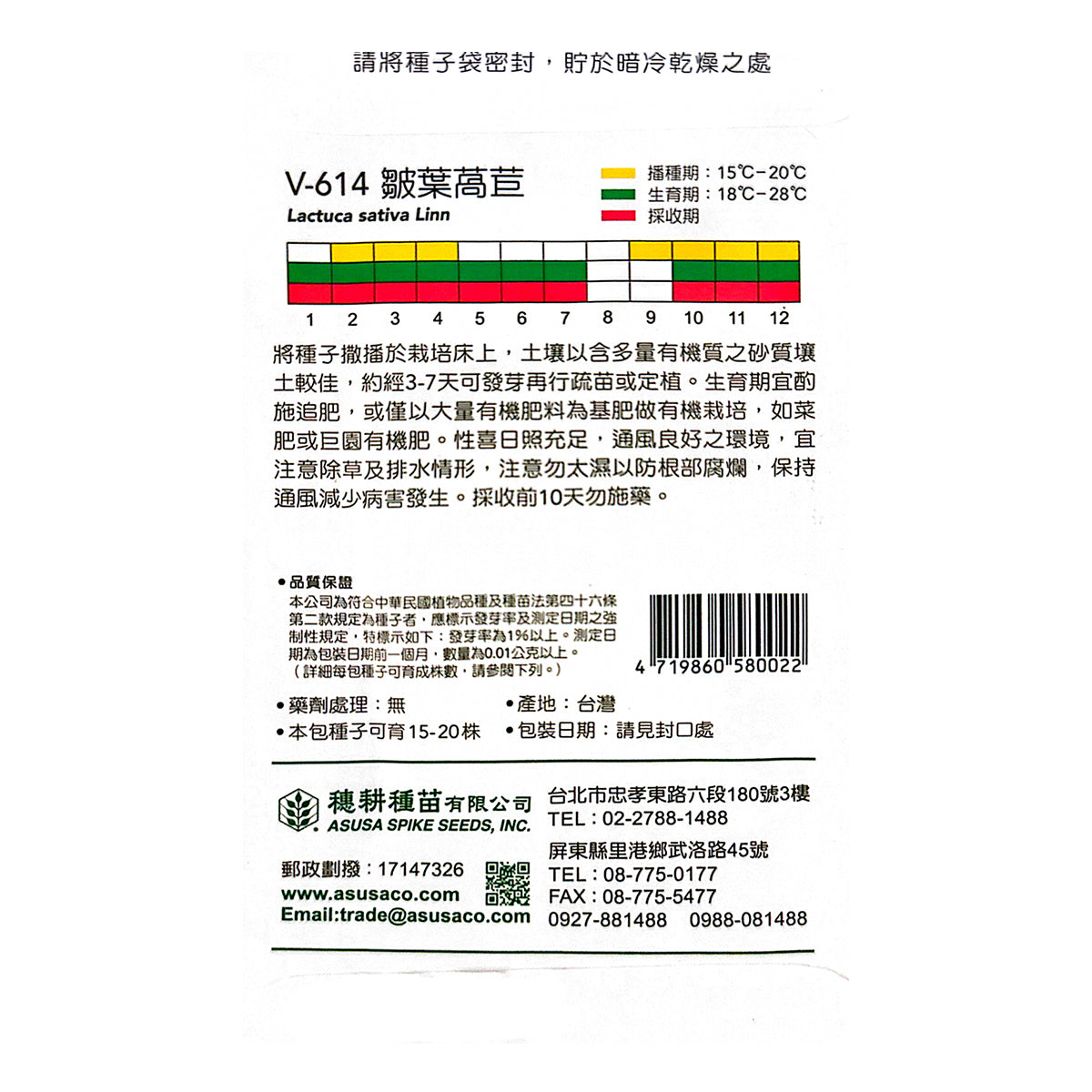 台灣天星牌園藝蔬果種子 - 皺葉生菜 (萵苣)