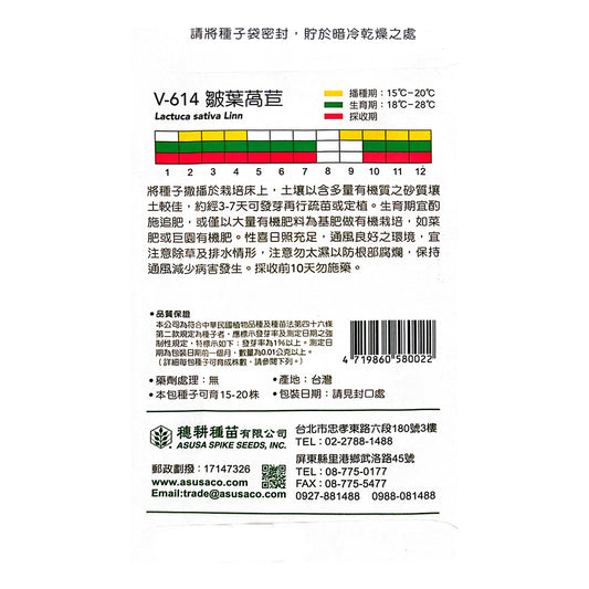 台灣天星牌園藝蔬果種子 - 皺葉生菜 (萵苣)