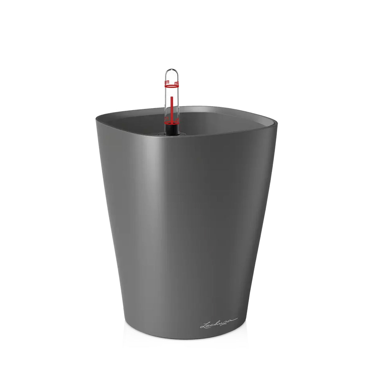 DELTINI