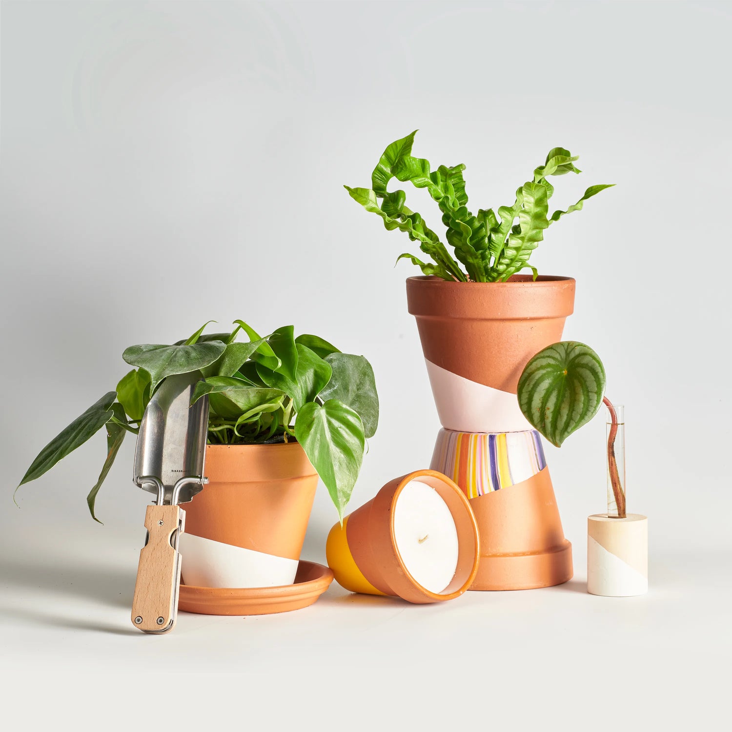 植物/工具