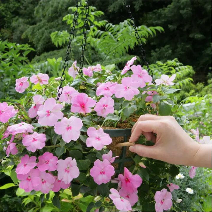 HYPONeX - Japan 12-12-12 All Purpose Planting Solid Tablet Fertilizer 150g