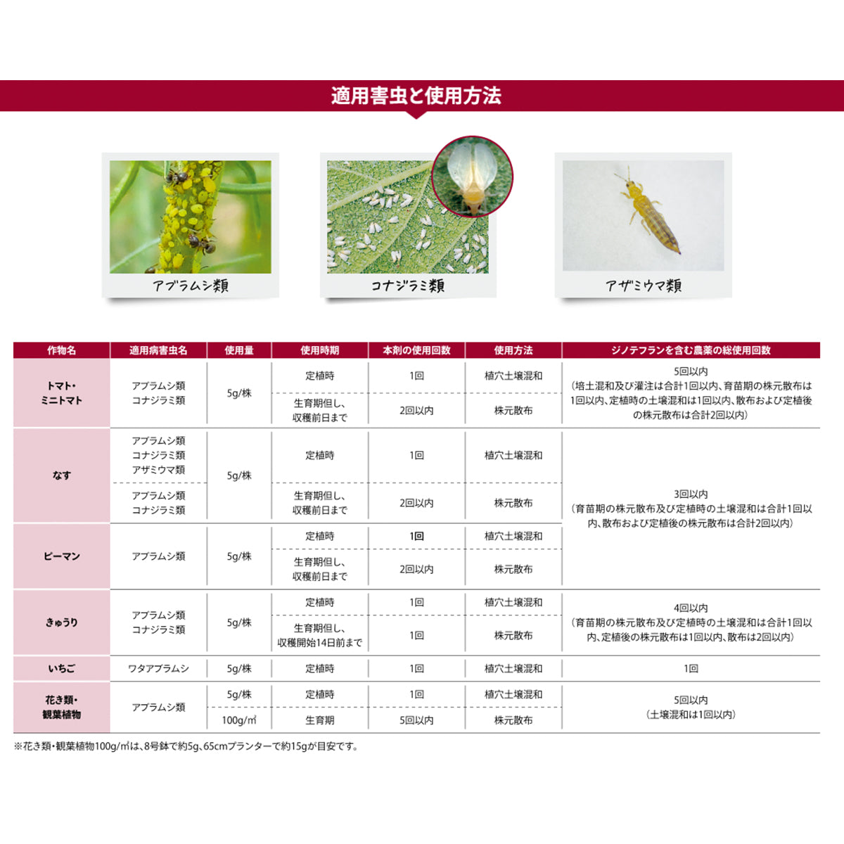 【殺蟲劑肥料二合一】日本花寶6-40-6-15(鎂)+防蟲成分MagAmp D魔肥 (觀葉開花植物適用) 園藝肥料 200g