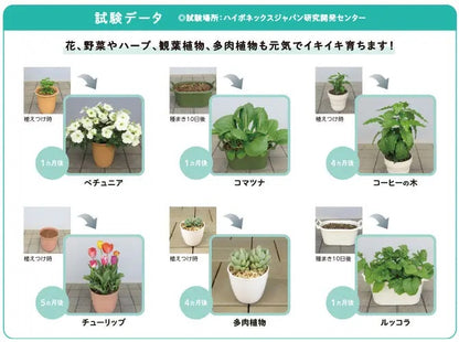Magamp Eco 長效性持續基肥 中粒 200g 魔肥元肥