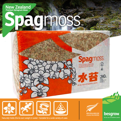 Besgrow - 紐西蘭AAA級蘭花種植用水苔 園藝植料 240L