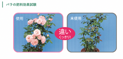 Balife Rose/Flowering Plant Lozenge Fertilizer 20 Tablets