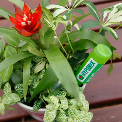 HYPONeX - Japanese Foliage Plant Liquid Ampule 35ml x 10