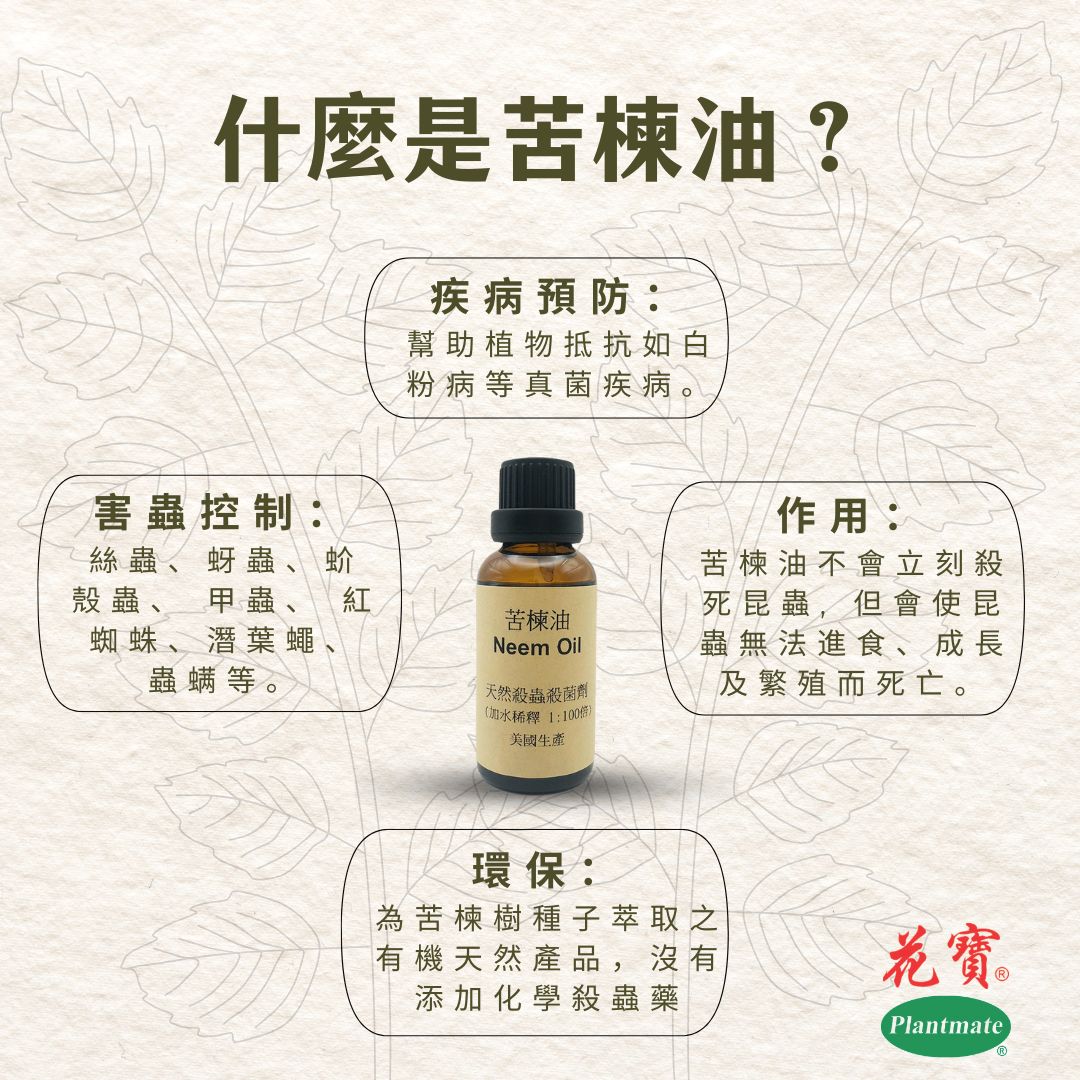 Neem Oil (Natural Organic Insecticide) 30ml