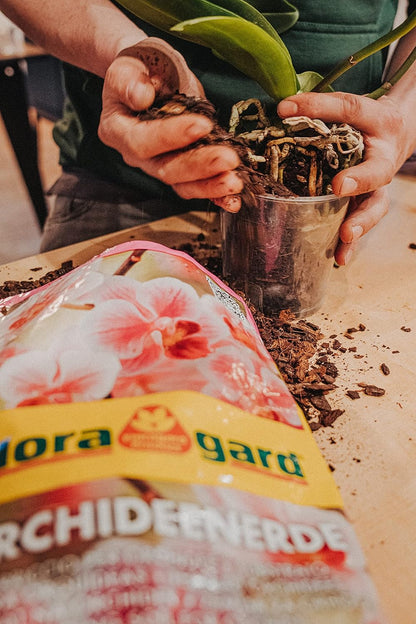 Floragard - 德國蘭花用培植泥土 5L 園藝種植花泥 培養土