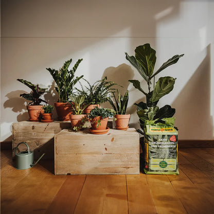 German foliage potting soil 10L