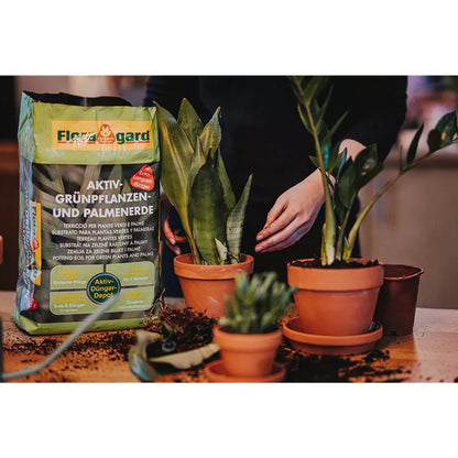 German foliage potting soil 10L