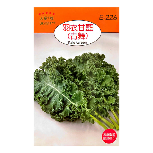 台灣天星牌園藝蔬果種子 - 羽衣甘藍(青舞)