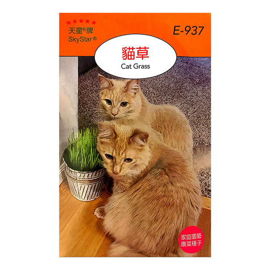 台灣天星牌園藝香草種子 - 貓草