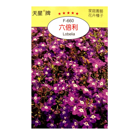 台灣天星牌園藝花卉種子 - 六倍利