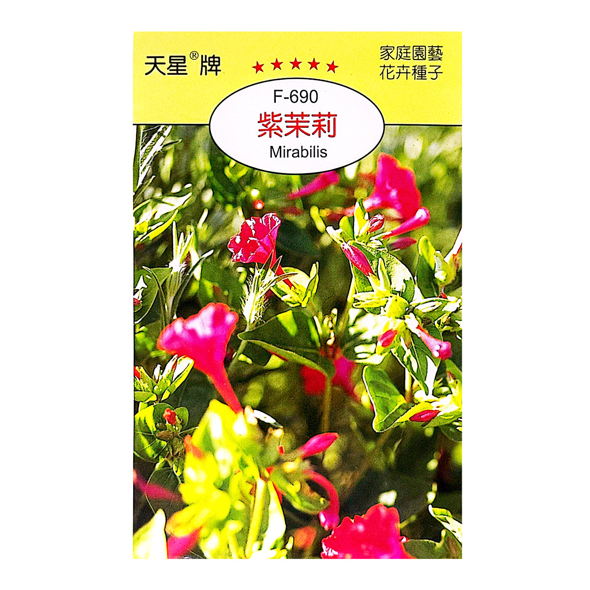 Taiwan SkyStar Brand Gardening Fruit and Vegetable Seeds-Sunflower