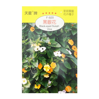 台灣天星牌園藝花卉種子 - 黑眼花 Black-eyed Susan Vine Seeds