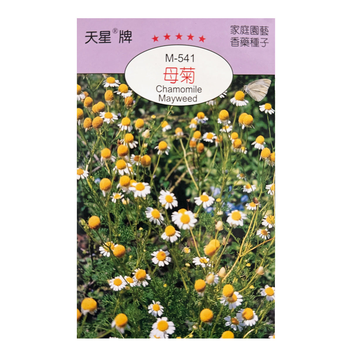 Taiwan SkyStar Brand Gardening Fruit and Vegetable-Basil