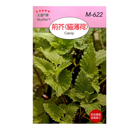 台灣天星牌園藝香草種子 - 貓薄荷 (荊芥)