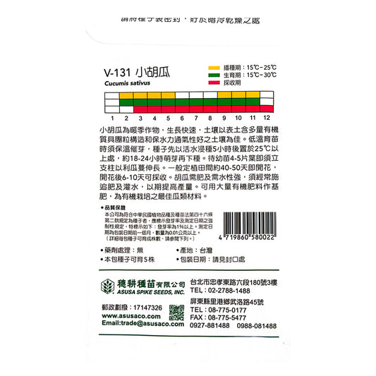 台灣天星牌園藝蔬果種子 - 小胡瓜