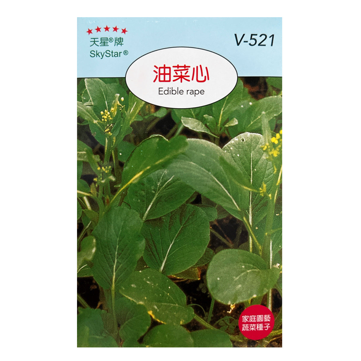 台灣天星牌園藝蔬果種子 - 油菜心