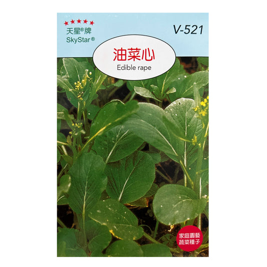 台灣天星牌園藝蔬果種子 - 油菜心