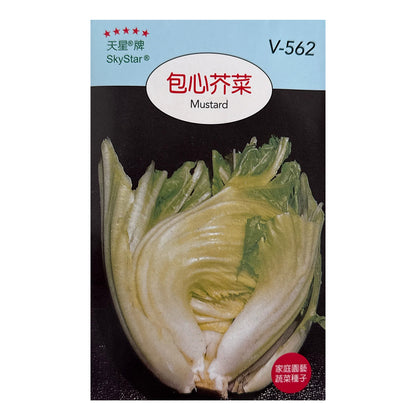 台灣天星牌園藝蔬果種子 - 包心芥菜
