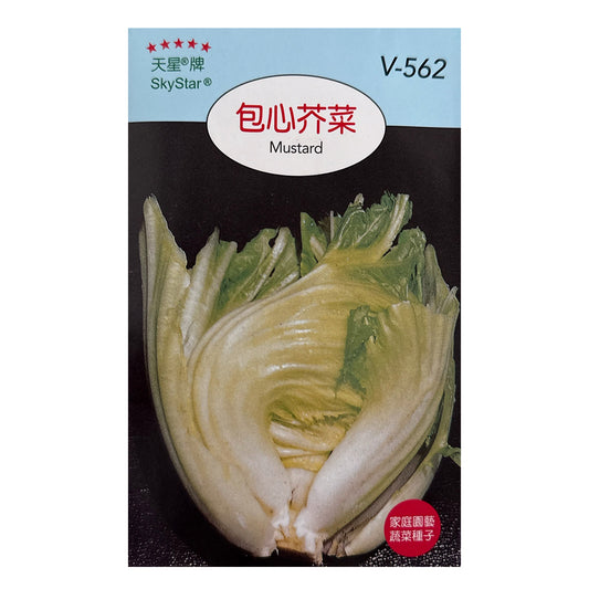 台灣天星牌園藝蔬果種子 - 包心芥菜