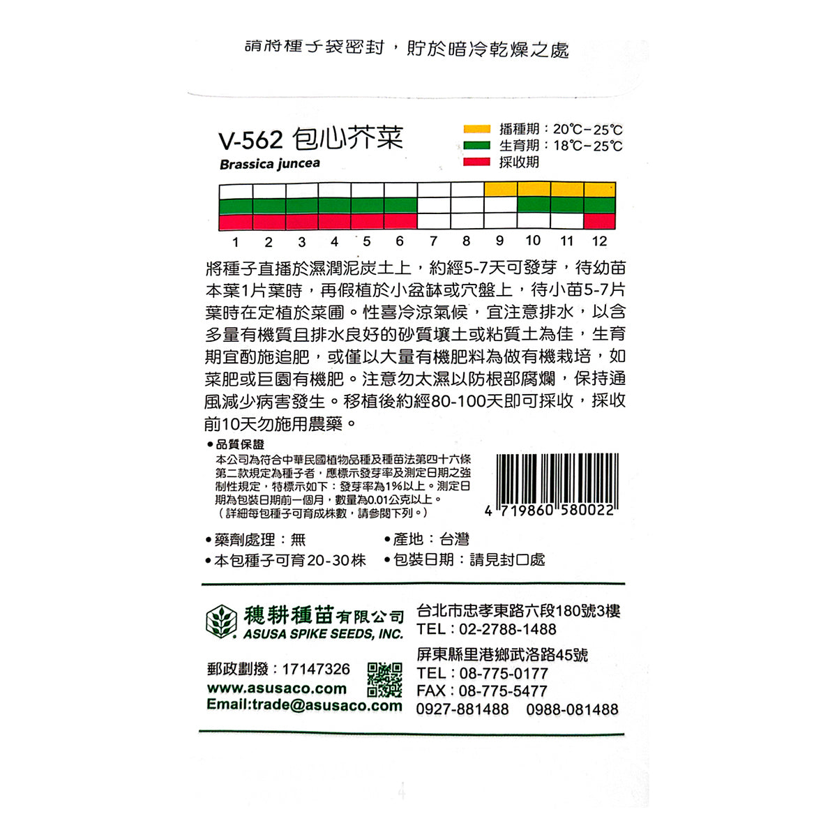 台灣天星牌園藝蔬果種子 - 包心芥菜