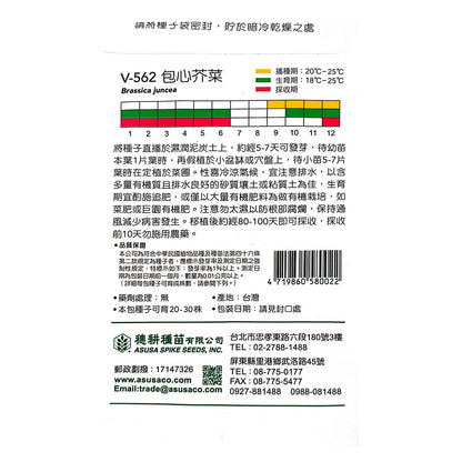 台灣天星牌園藝蔬果種子 - 包心芥菜
