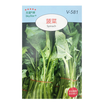 台灣天星牌園藝蔬果種子 - 菠菜 Spinach Seeds