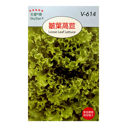 台灣天星牌園藝蔬果種子 - 皺葉生菜 (萵苣)