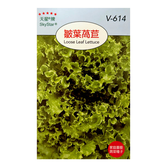 台灣天星牌園藝蔬果種子 - 皺葉生菜 (萵苣)