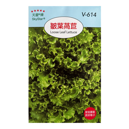 台灣天星牌園藝蔬果種子 - 皺葉生菜 (萵苣)