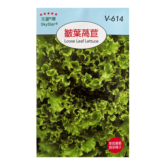台灣天星牌園藝蔬果種子 - 皺葉生菜 (萵苣)