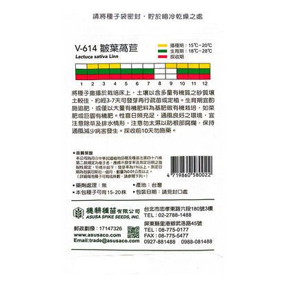 台灣天星牌園藝蔬果種子 - 皺葉生菜 (萵苣)