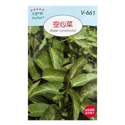 台灣天星牌園藝蔬果種子 - 空心菜/通菜