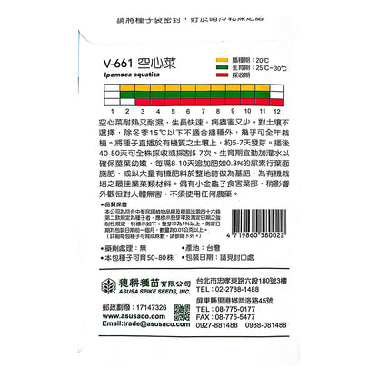 台灣天星牌園藝蔬果種子 - 空心菜/通菜