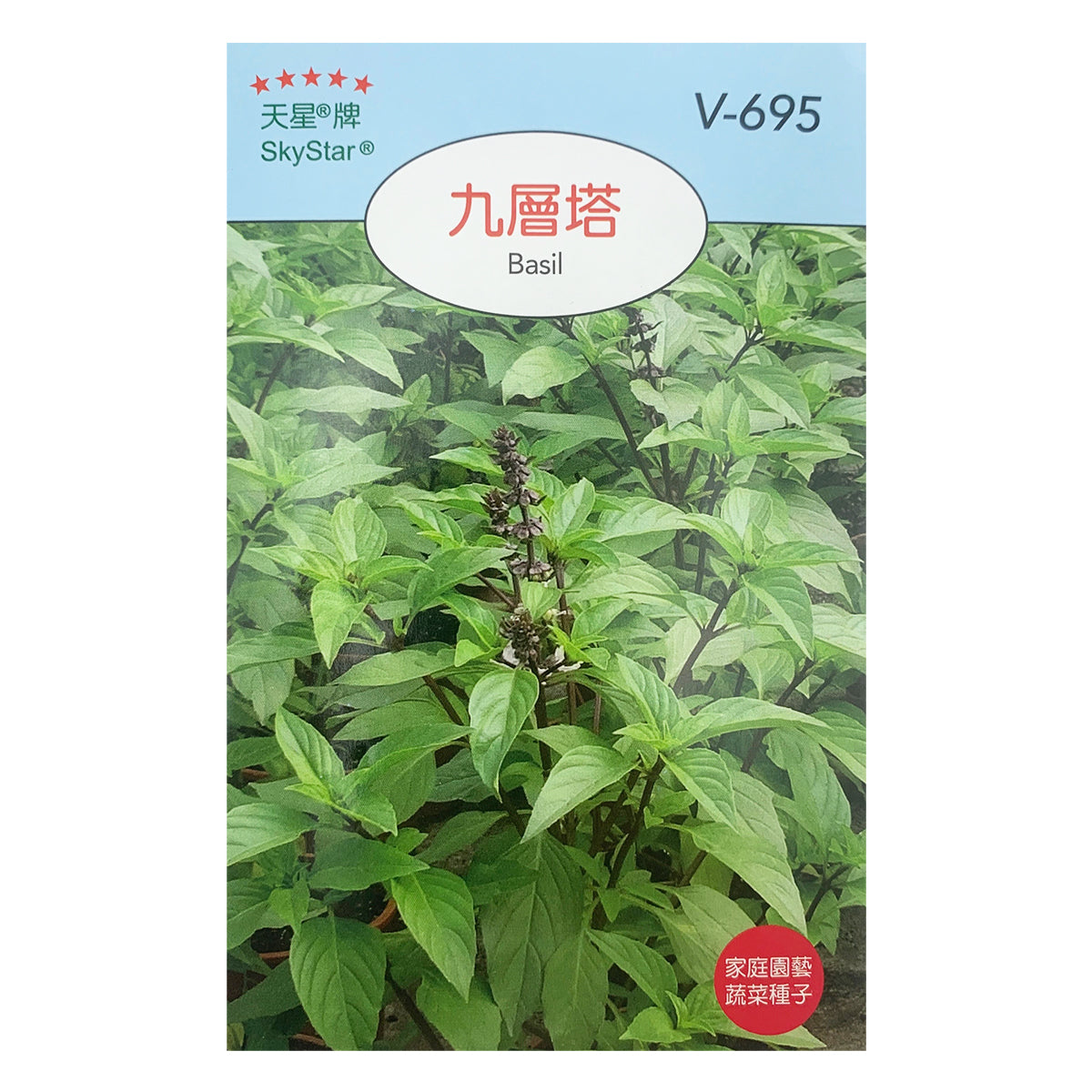 台灣天星牌園藝香草種子 - 九層塔