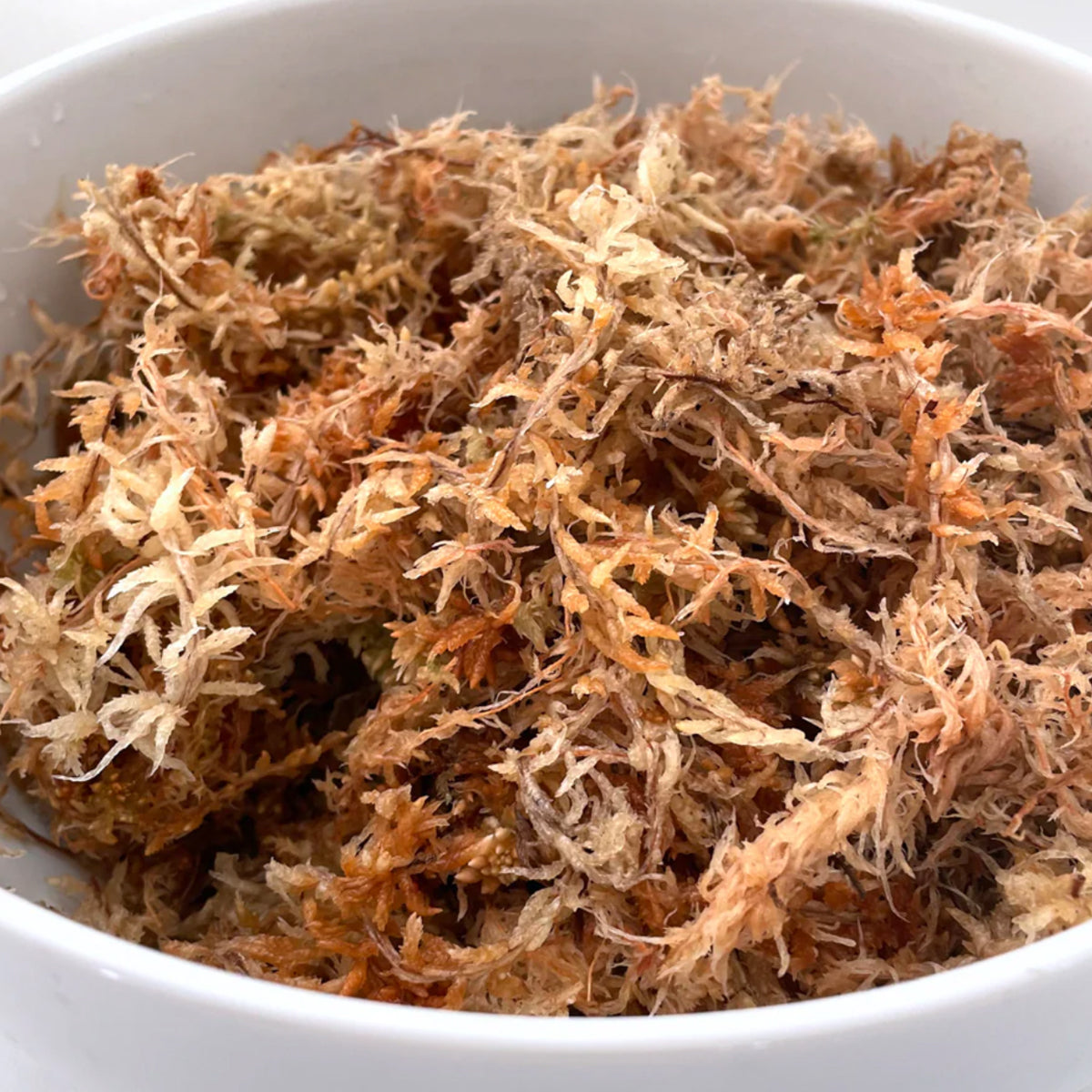 Besgrow - 紐西蘭AAA級蘭花種植用水苔 園藝植料 240L